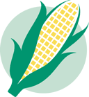 maize graphic