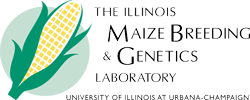 IMBGL Logo
