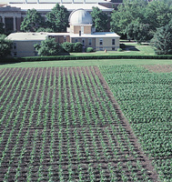 Morrow Plots